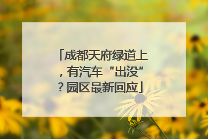 成都天府绿道上，有汽车“出没”？园区最新回应