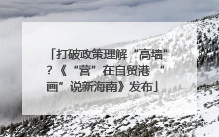 打破政策理解“高墙”？《“营”在自贸港 “画”说新海南》发布