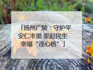 扬州广陵：守护平安仁丰里 架起民生幸福“连心桥”