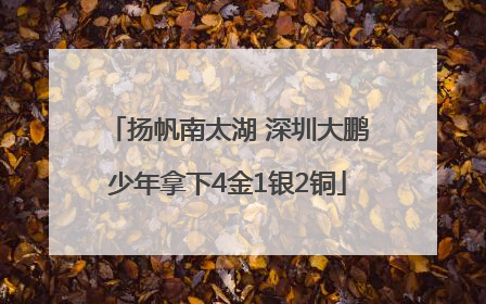 扬帆南太湖 深圳大鹏少年拿下4金1银2铜