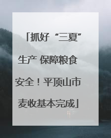 抓好“三夏”生产 保障粮食安全！平顶山市麦收基本完成