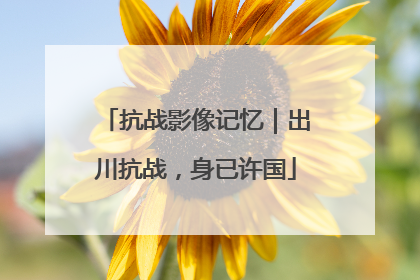 抗战影像记忆｜出川抗战，身已许国