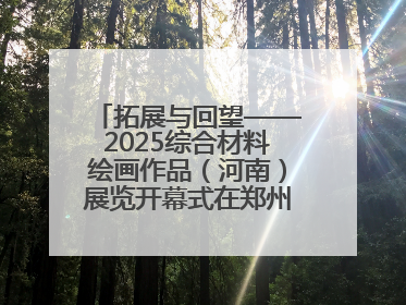 拓展与回望——2025综合材料绘画作品（河南）展览开幕式在郑州美术馆举办