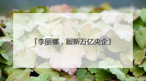 李丽娜，履新万亿央企