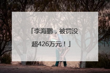 李海鹏，被罚没超426万元！