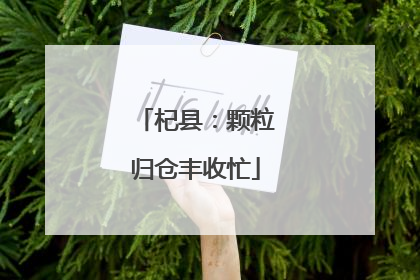 杞县：颗粒归仓丰收忙