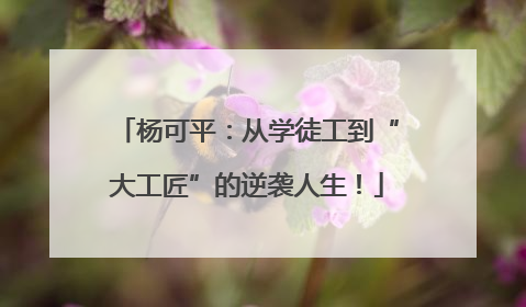 杨可平：从学徒工到“大工匠”的逆袭人生！