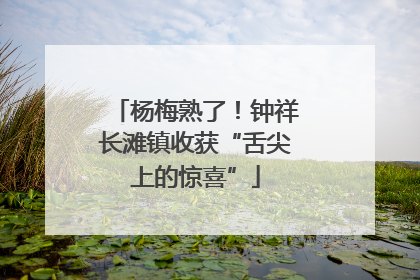 杨梅熟了！钟祥长滩镇收获“舌尖上的惊喜”