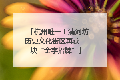 杭州唯一！清河坊历史文化街区再获一块“金字招牌”