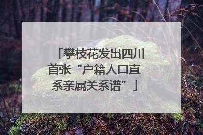 攀枝花发出四川首张“户籍人口直系亲属关系谱”
