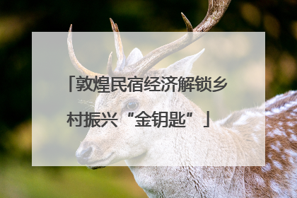 敦煌民宿经济解锁乡村振兴“金钥匙”