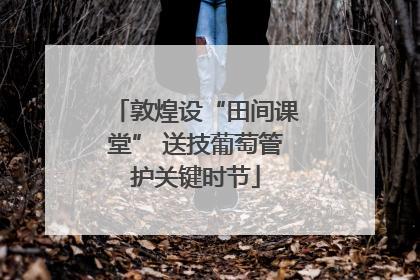 敦煌设“田间课堂” 送技葡萄管护关键时节