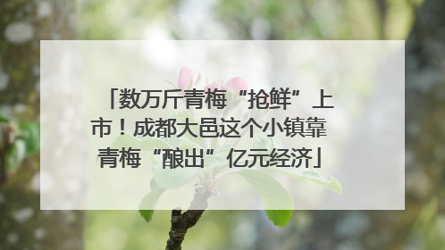 数万斤青梅“抢鲜”上市！成都大邑这个小镇靠青梅“酿出”亿元经济