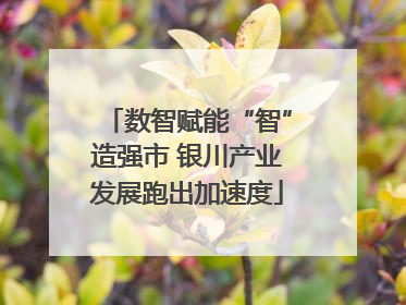 数智赋能“智”造强市 银川产业发展跑出加速度