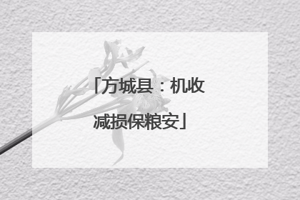 方城县：机收减损保粮安