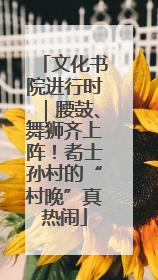 文化书院进行时｜腰鼓、舞狮齐上阵！耇士孙村的“村晚”真热闹