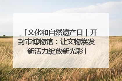 文化和自然遗产日｜开封市博物馆：让文物焕发新活力绽放新光彩