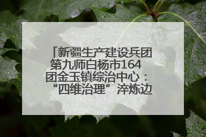 新疆生产建设兵团第九师白杨市164团金玉镇综治中心：“四维治理”淬炼边疆“枫桥样本”
