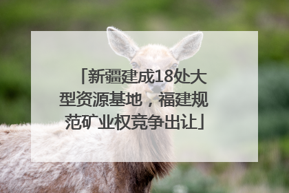 新疆建成18处大型资源基地，福建规范矿业权竞争出让