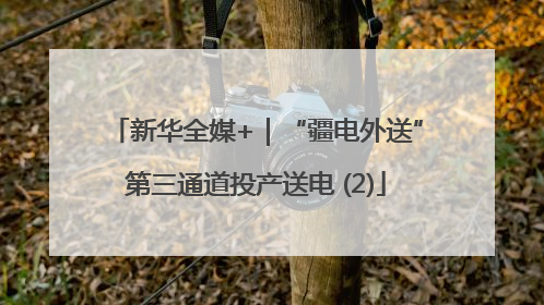 新华全媒+｜“疆电外送”第三通道投产送电 (2)