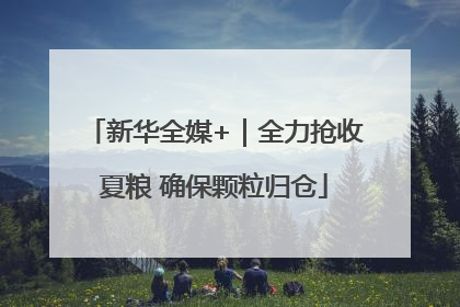 新华全媒+｜全力抢收夏粮 确保颗粒归仓