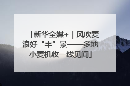 新华全媒+｜风吹麦浪好“丰”景——多地小麦机收一线见闻