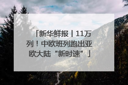 新华鲜报丨11万列！中欧班列跑出亚欧大陆“新时速”