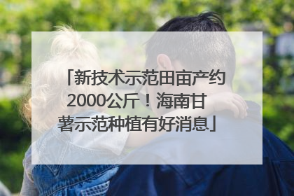 新技术示范田亩产约2000公斤！海南甘薯示范种植有好消息