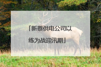 新蔡供电公司以练为战迎汛期