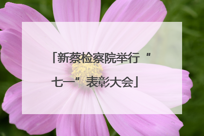 新蔡检察院举行“七一”表彰大会