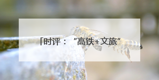 时评：“高铁+文旅”，共赴“诗和远方”