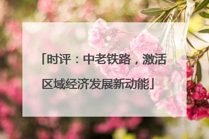 时评：中老铁路，激活区域经济发展新动能