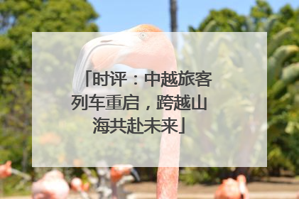 时评：中越旅客列车重启，跨越山海共赴未来