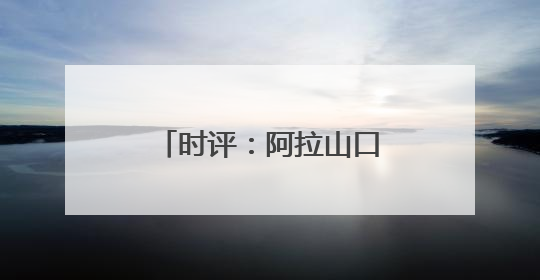 时评：阿拉山口“钢铁驼队”续写丝路新传奇