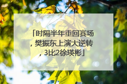 时隔半年重回赛场，樊振东上演大逆转，3比2徐瑛彬