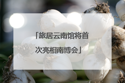 旅居云南馆将首次亮相南博会