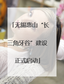 无锡惠山“长三角牙谷”建设正式启动