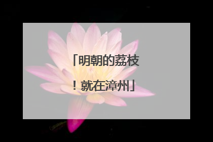 明朝的荔枝！就在漳州