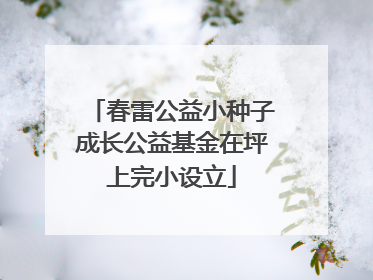 春雷公益小种子成长公益基金在坪上完小设立