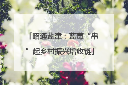 昭通盐津：蓝莓“串”起乡村振兴增收链