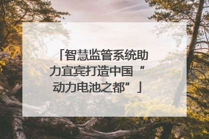 智慧监管系统助力宜宾打造中国“动力电池之都”