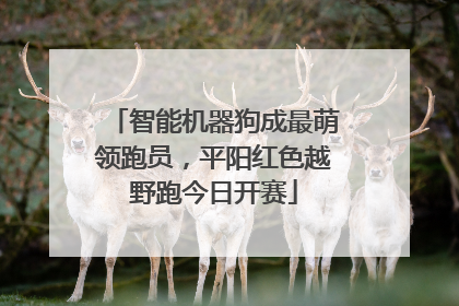 智能机器狗成最萌领跑员，平阳红色越野跑今日开赛