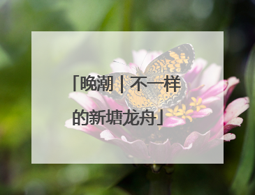 晚潮｜不一样的新塘龙舟
