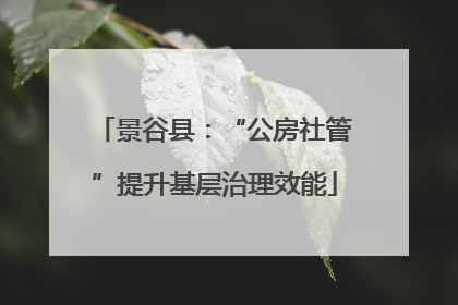 景谷县：“公房社管”提升基层治理效能