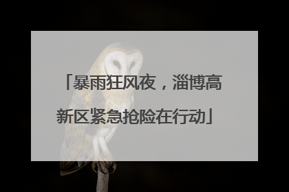 暴雨狂风夜，淄博高新区紧急抢险在行动