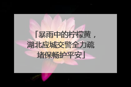 暴雨中的柠檬黄，湖北应城交警全力疏堵保畅护平安