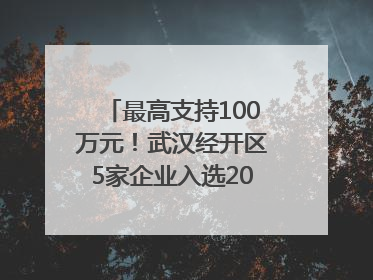 最高支持100万元！武汉经开区5家企业入选2025年度武汉市重点研发计划拟立项项目名单