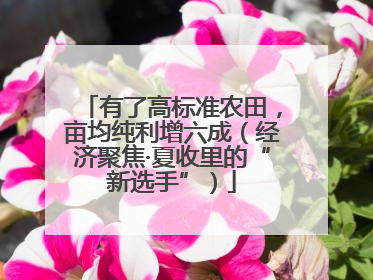 有了高标准农田，亩均纯利增六成（经济聚焦·夏收里的“新选手”）