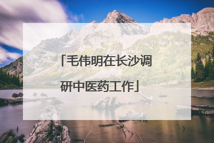 毛伟明在长沙调研中医药工作
