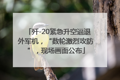 歼-20紧急升空逼退外军机，“数轮激烈攻防”，现场画面公布